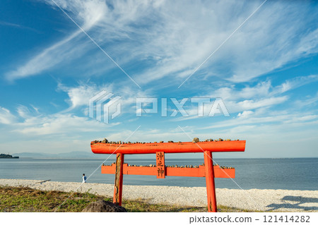 Tara Town, Saga Prefecture: The underwater torii gate of Ouo Shrine in the shallow waters of the Ariake Sea in autumn 121414282