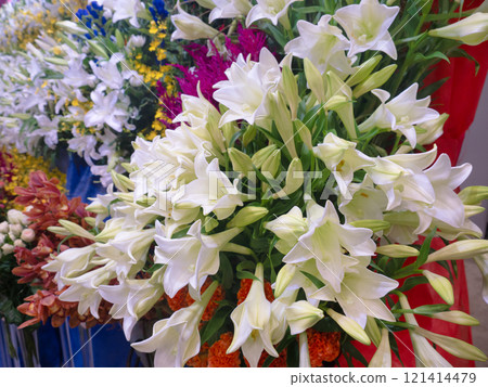Cut flowers: Lilies 121414479