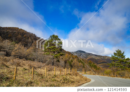 群馬縣嬬戀村湯之丸高原的秋景 121414593
