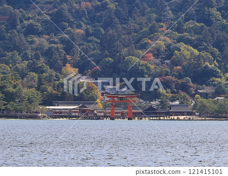 宮島賽艇 121415101