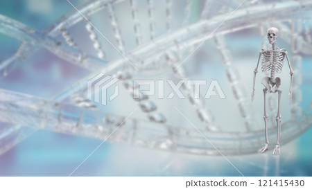 The Skeleton on black background for education or sci concept 3d rendering. 121415430