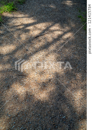 綠蔭 綠蔭 121415784