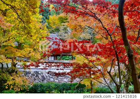 Autumn leaves at Shorekiji Temple (Bodaisan Town, Nara Prefecture) 121415816