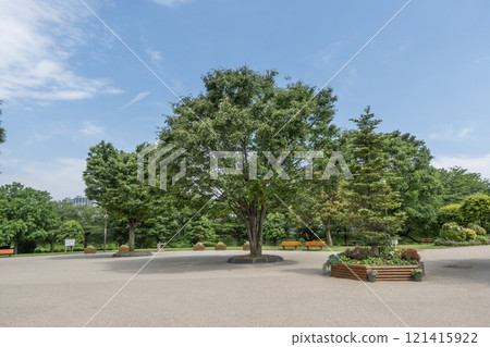 神奈川縣海老名市神奈川縣相模三河公園上鄉 神奈川縣海老名市神奈川縣相模三河公園上鄉 121415922