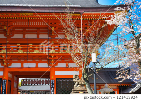 京都八坂神社南塔門春景（京都府京都市東山區） 121415924