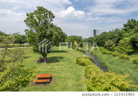 Kanagawa Prefectural Sagamisansen Park, Kamigo, Ebina City, Kanagawa Prefecture 121415965