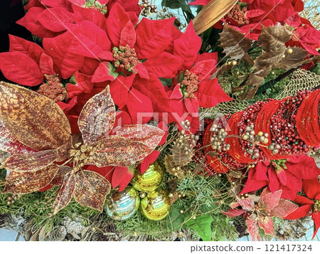 Red poinsettia on a Christmas tree 121417324