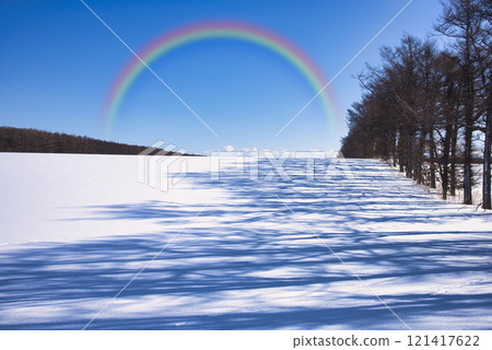 冬日北海道東部地區美麗的雪景 冬日北海道東部地區美麗的雪景 121417622