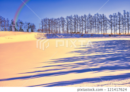 冬日北海道東部地區美麗的雪景 121417624