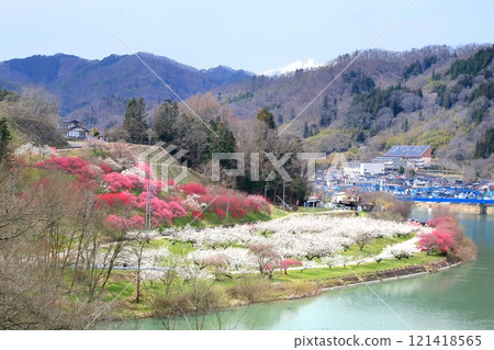 Shinshu Shinmachi Roku Umezono 121418565