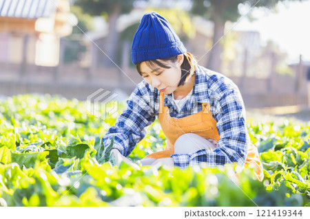 女人收穫領域的蔬菜 121419344