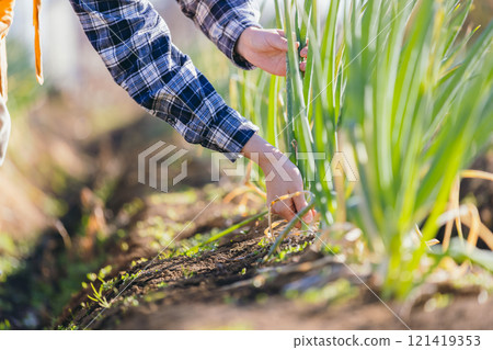 農民農業 121419353