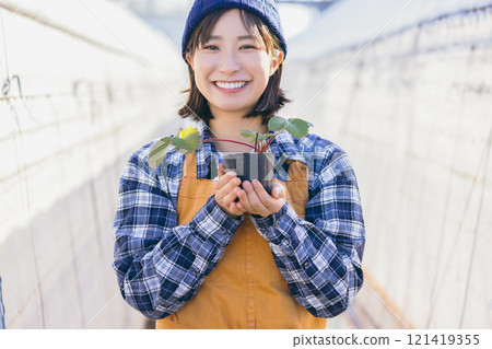 Ichigo farmer 121419355