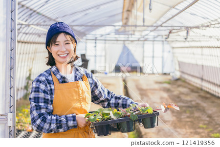 Ichigo farmer 121419356