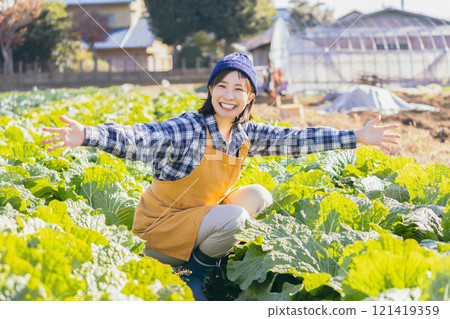 Woman harvesting vegetables in the field 121419359
