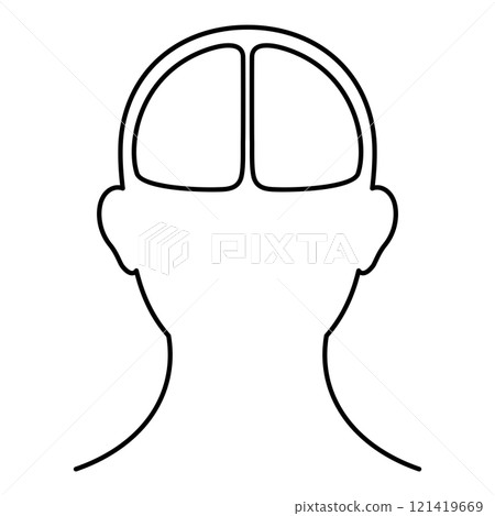 Brain, top, front, black and white 121419669