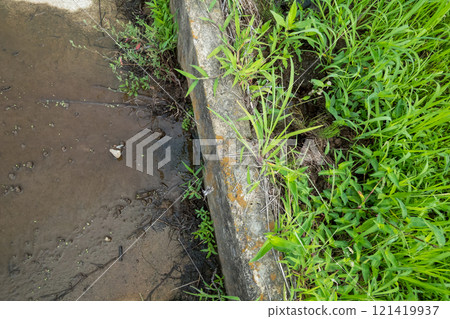 Water from farmland leaks onto the road 121419937