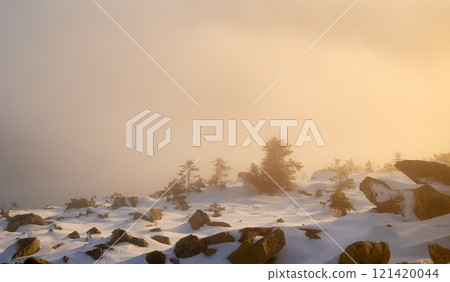 Snow-covered mountain slope at dawn, with scattered rocks and small trees adding texture to foreground. Sea of clouds below bathed in soft hues of blue and gold as sunlight gently illuminates scene. 121420044
