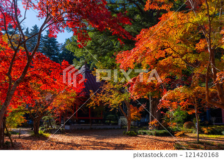 A famous spot for viewing autumn leaves in Osawa, Mashiko-cho, Haga-gun, Tochigi Prefecture. Autumn leaves in the grounds of Osawayama Kokei-in Entsu-ji Temple, the head temple of the former Nagoshi school of the Jodo sect of Buddhism A famous spot for viewing autumn leaves in Osawa, Mashiko-cho, Haga-gun, Tochigi Prefecture. Autumn leaves in the grounds of Osawayama Kokei-in Entsu-ji Temple, the head temple of the former Nagoshi school of the Jodo sect of Buddhism 121420168