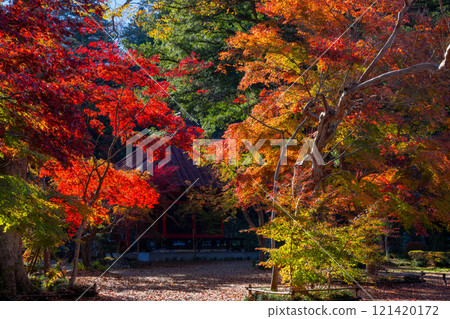 A famous spot for viewing autumn leaves in Osawa, Mashiko-cho, Haga-gun, Tochigi Prefecture. Autumn leaves in the grounds of Osawayama Kokei-in Entsu-ji Temple, the head temple of the former Nagoshi school of the Jodo sect of Buddhism 121420172