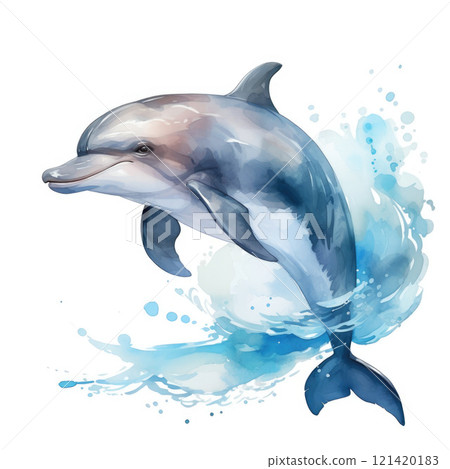 Playful dolphin drawn in watercolor 121420183