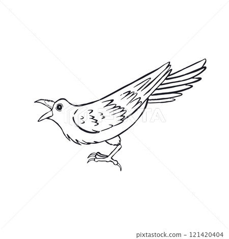 Hand drawn inky sketch style raven or crow isolated on white background 121420404