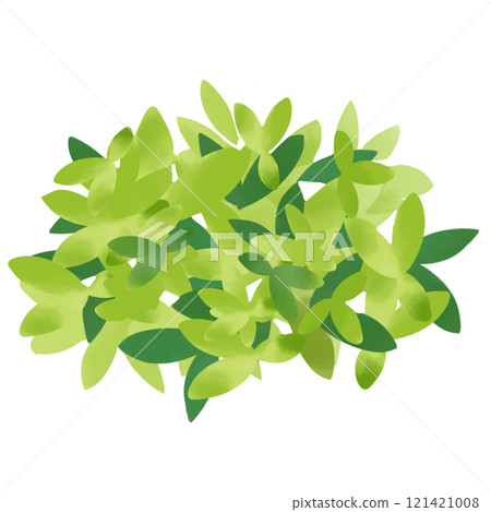 水彩風格植物灌木圖 水彩風格植物灌木圖 121421008
