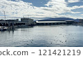 Seagulls, birds, sea, sky, Numazu Port 121421219