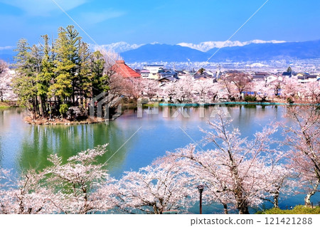 Cherry blossoms in Ryoryu Park 121421288