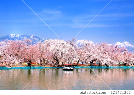 Ryoryu公園的櫻花 121421292