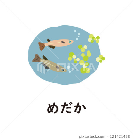 日語平假名系列 - 青鱂平假名與“我” 日語平假名系列 - 青鱂平假名與“我” 121421458