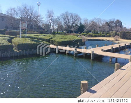 木板路和池塘風景 木板路和池塘風景 121421552