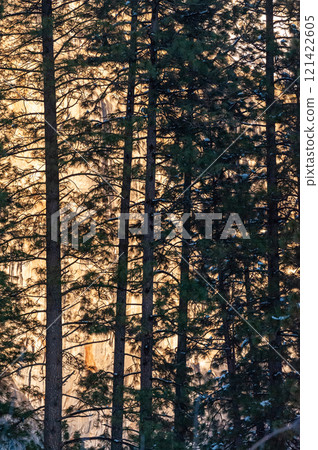Bright rocks behind trees Bright rocks behind trees 121422605