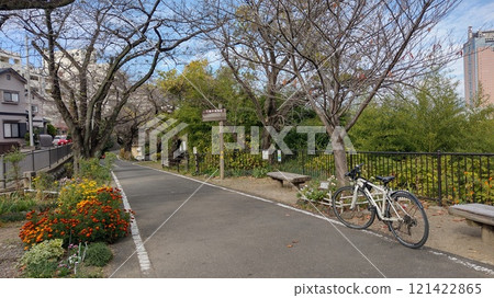 A cycling road with beautiful flowers and trees 121422865