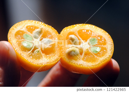 Ripe kumquats Ripe kumquats 121422985