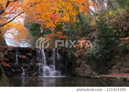 Autumn in Axe-Affiliated Forest: Waterfall and autumn leaves Autumn in Axe-Affiliated Forest: Waterfall and autumn leaves 121423285