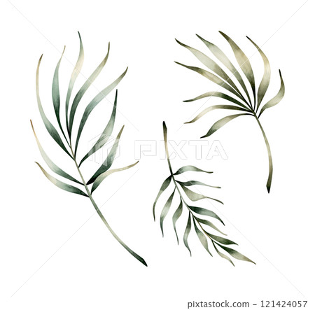 Palm leaves set. Tropical exotic plant branch. Watercolor hand drawn floral illustration isolated on white background for Ramadan Kareem design, Eid Al Adha, Al Fitr, fabric, textile, card, invitation 121424057