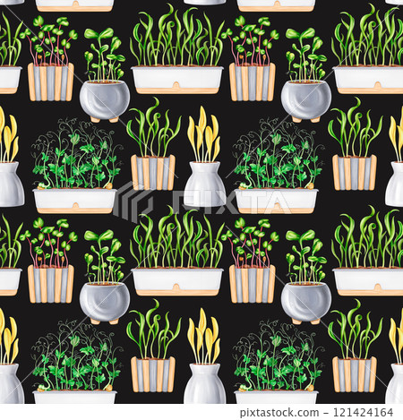A seamless pattern of potted houseplants. Seedlings with microgreens for healthy nutrition. A vegetable garden on the windowsill. The growth of micro-greenery at home. Digital isolated illustration A seamless pattern of potted houseplants. Seedlings with microgreens for healthy nutrition. A vegetable garden on the windowsill. The growth of micro-greenery at home. Digital isolated illustration 121424164