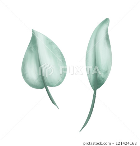 Two leaves of a eucalyptus tree soft green color to create organic seasonal cozy decor. Sustainable celebration of natural recyclable material, plastic free concept. Isolated illustration Two leaves of a eucalyptus tree soft green color to create organic seasonal cozy decor. Sustainable celebration of natural recyclable material, plastic free concept. Isolated illustration 121424168