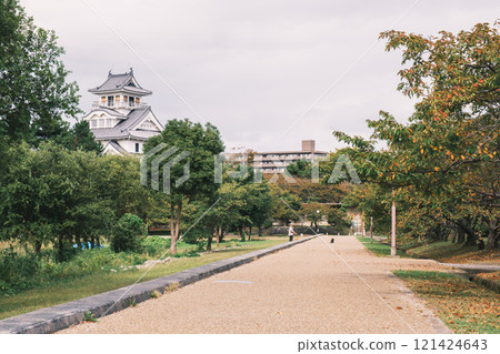 [長濱城] 可以看到長濱城的公園 121424643