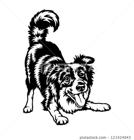 Border Collie Dog Breed - Pet Vector Cut file, Dog Silhouette Stencil - Cricut file Border Collie Dog Breed - Pet Vector Cut file, Dog Silhouette Stencil - Cricut file 121424843