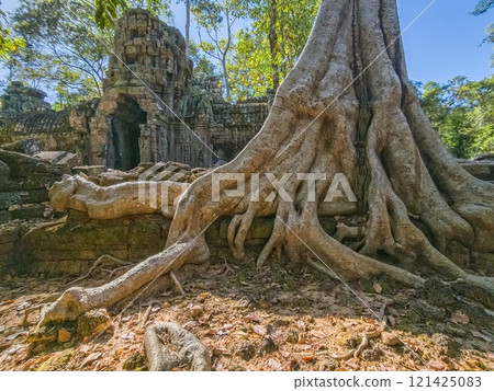 Ta Nei Wat temple in Angkor, Cambodia 121425083