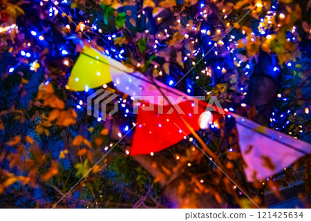 Colorful flags and illuminations 121425634