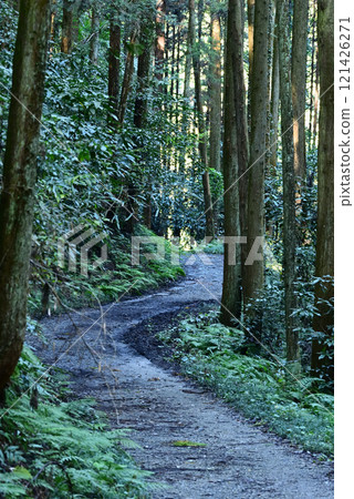 Mountain road 121426271