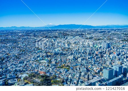 [神奈川縣]從橫濱地標塔看到的西橫濱城市景觀與富士山 121427016
