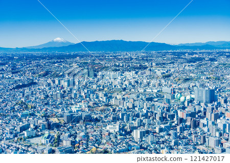 [神奈川縣]從橫濱地標塔看到的西橫濱城市景觀與富士山 121427017