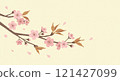 Illustration of cherry blossoms in bloom 121427099