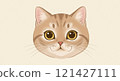 Cute cat face illustration 121427111