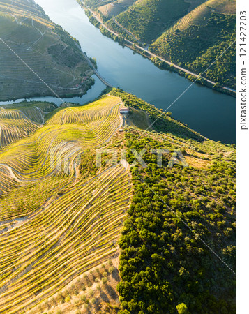 Douro Valley on Sunny Morning. Green Hills with Terraces. Aerial View 121427203