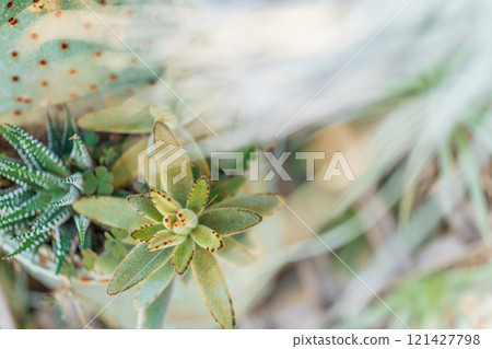 空氣廠內部形象 121427798